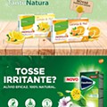 Antevisão Folheto WELLS Família Promoções de 10 novembro a 31 dezembro